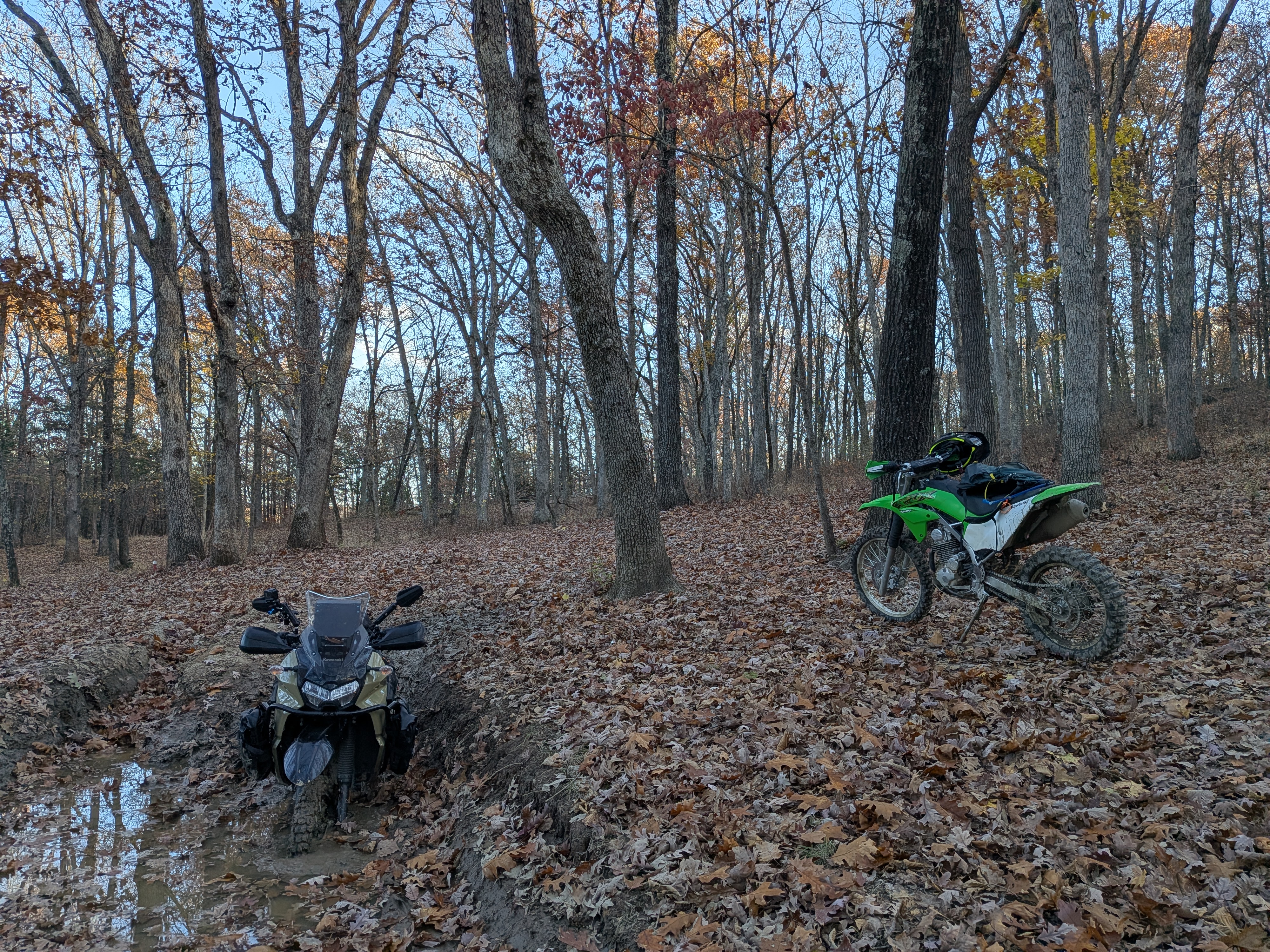 Ozark BDR