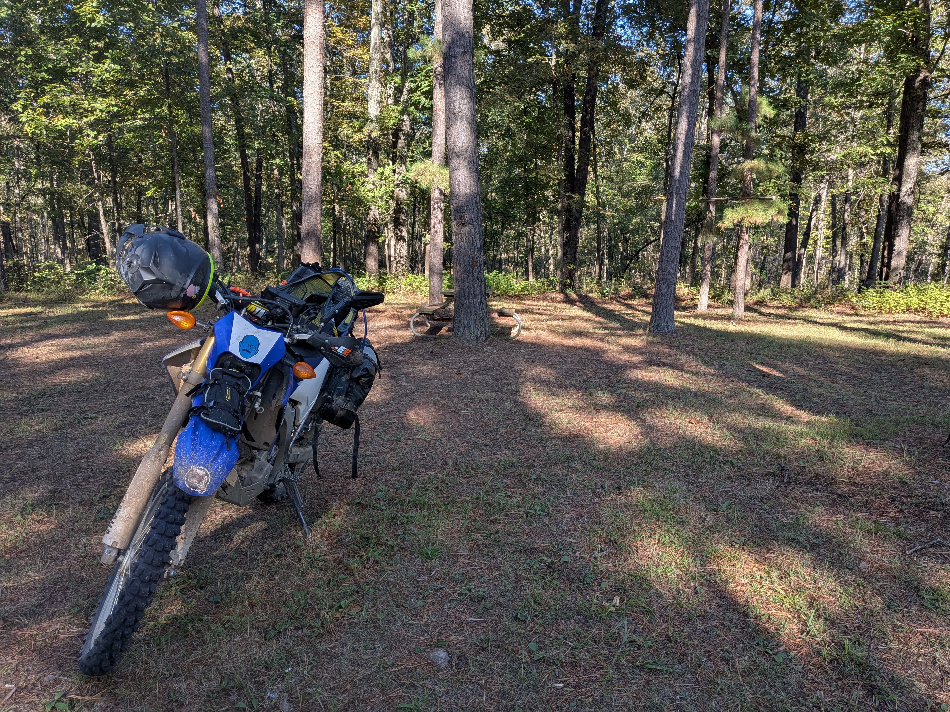 Dual sport on dirt trail
